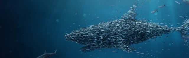 Ein Fischschwarm, der einen Hai formt